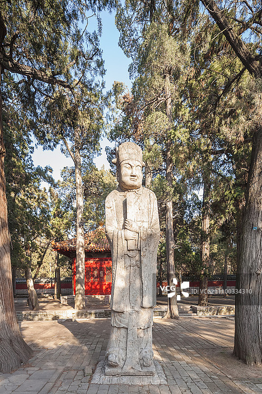 山东省曲阜孔林图片素材