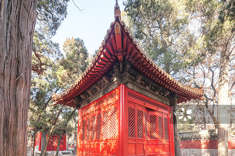 山东省曲阜孔林图片素材