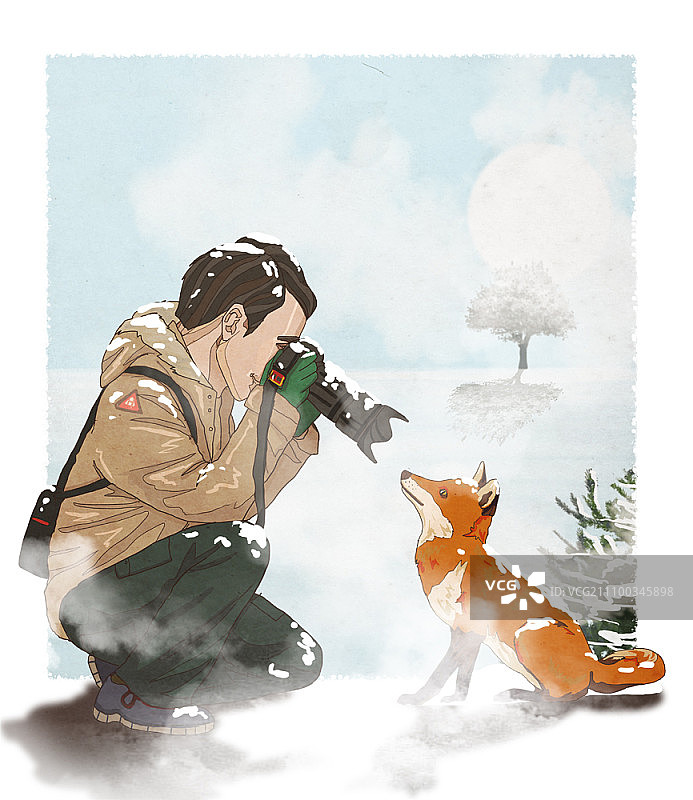 男人拍摄野生狐狸的照片图片素材