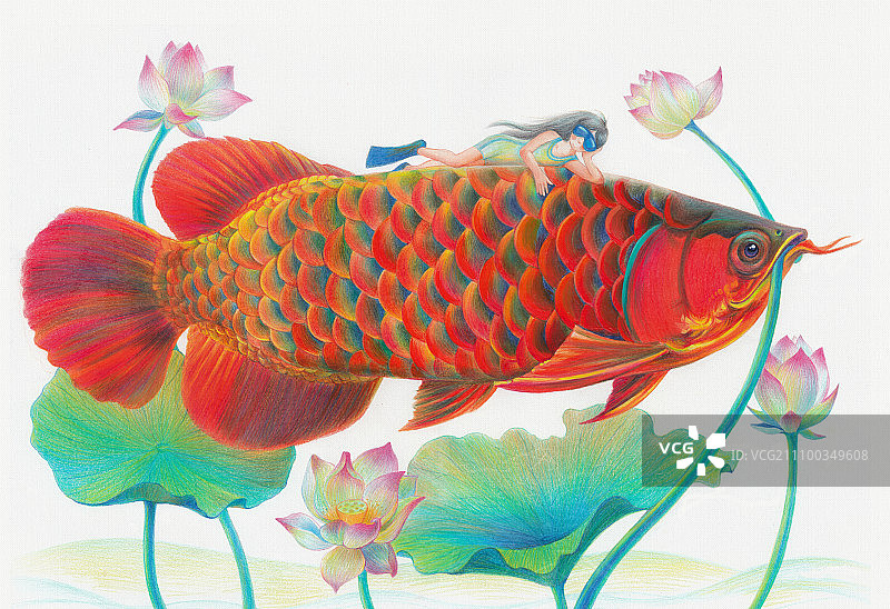 荷趣荷丛图片素材