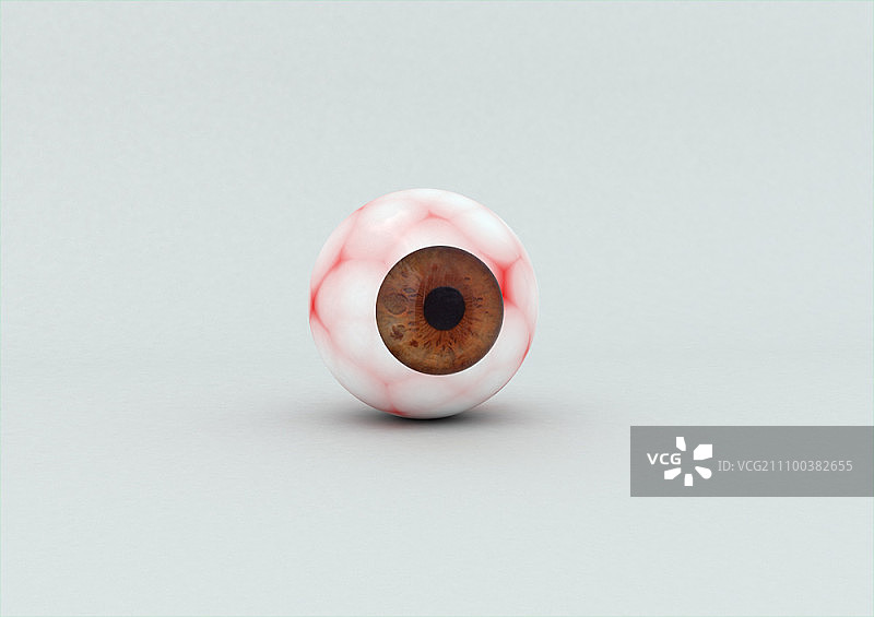 眼球模型图片素材