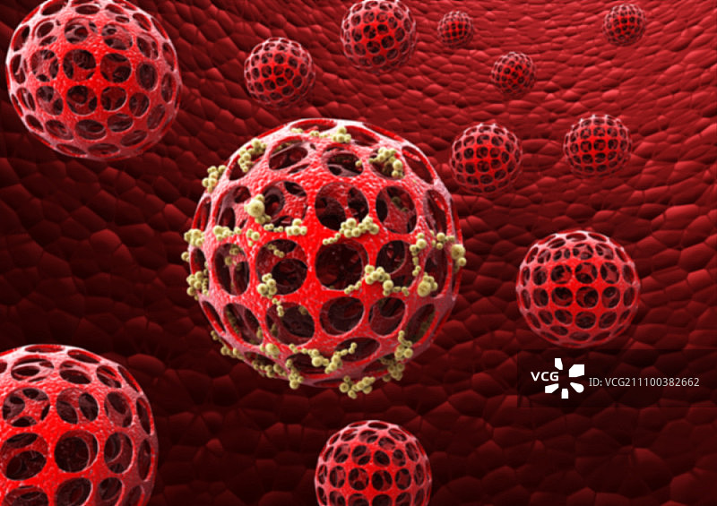 血管中的细胞和细菌图片素材