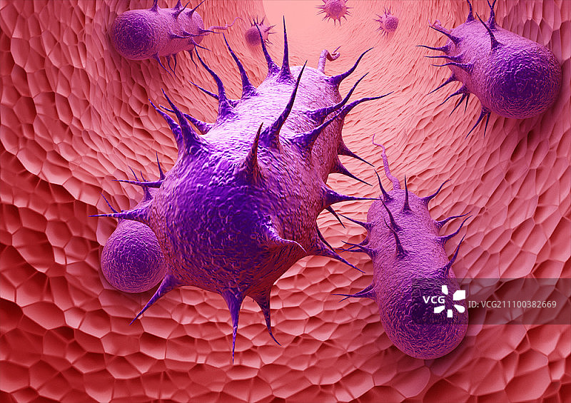 血管中的细菌图片素材