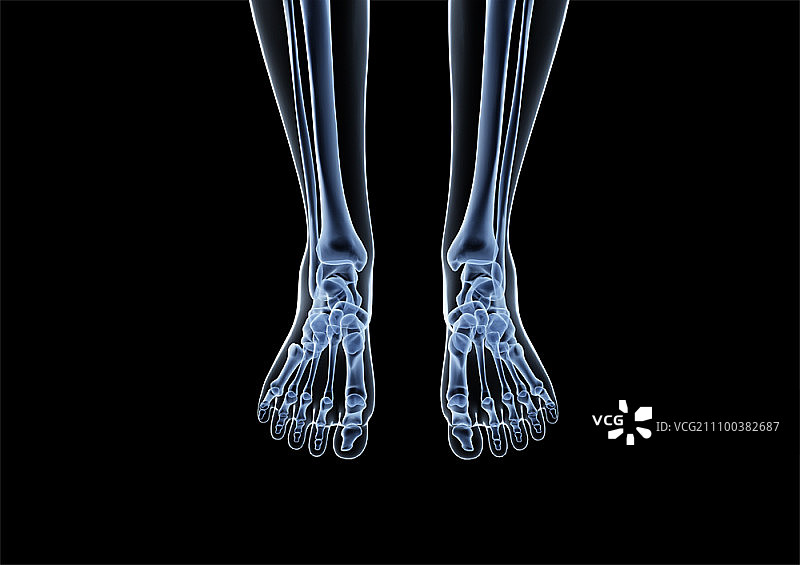 脚踝和足部的X光片图片素材