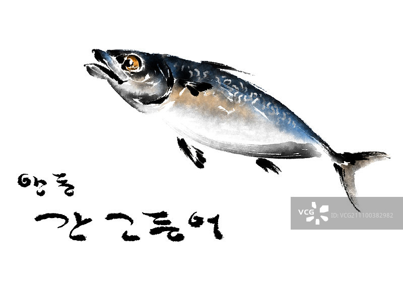 鲭鱼与韩国书法图片素材