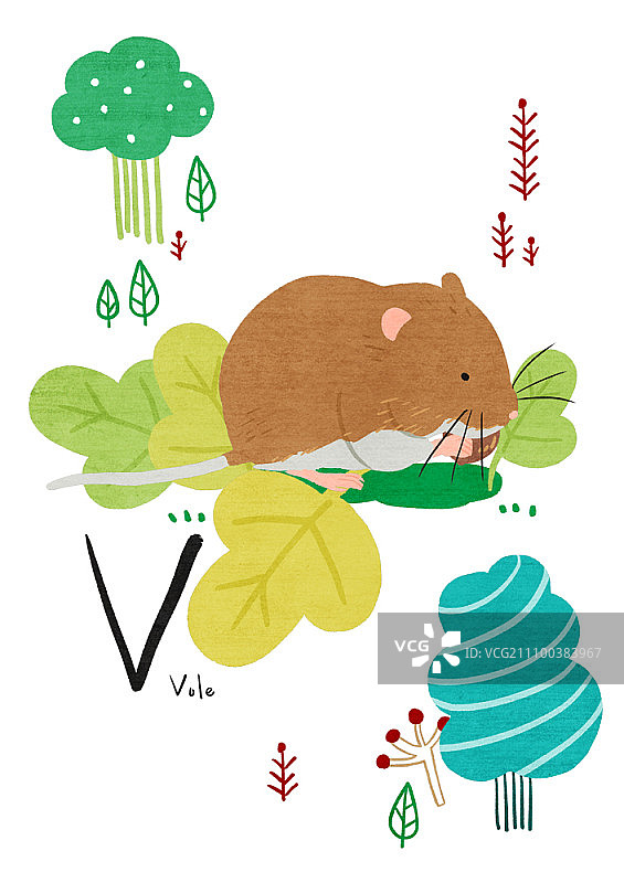 V字代表田鼠图片素材