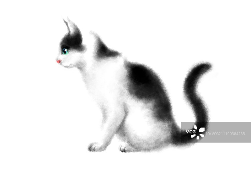 猫的侧视图图片素材