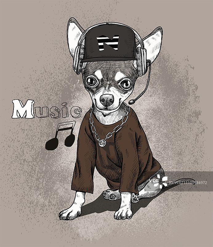 戴着T恤帽和耳机的吉娃娃犬图片素材