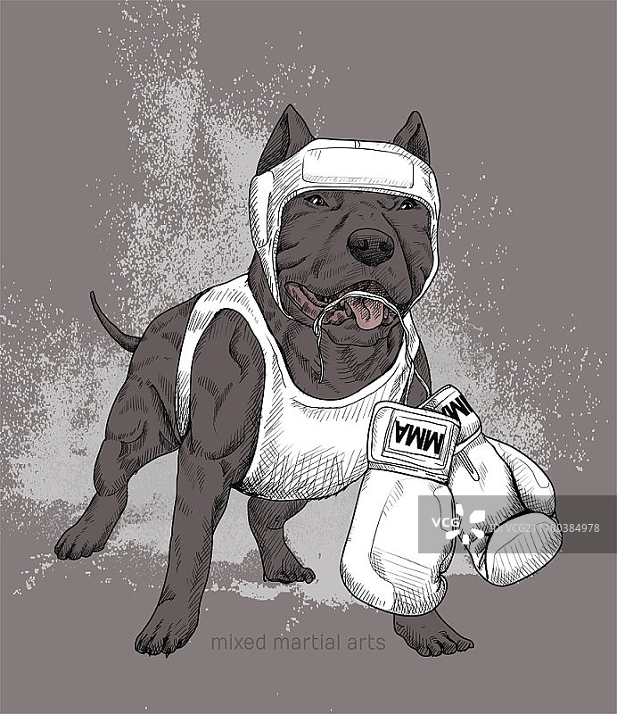 戴着拳击手套的小狗图片素材