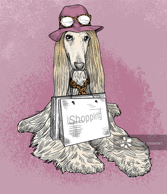 阿富汗猎犬拿着购物袋图片素材