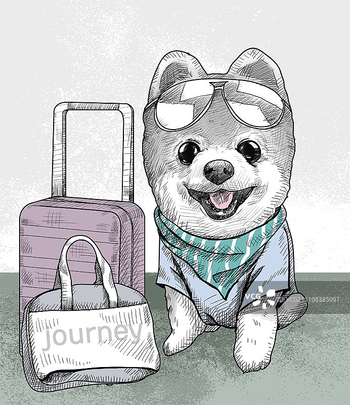 拖着行李箱的博美犬图片素材