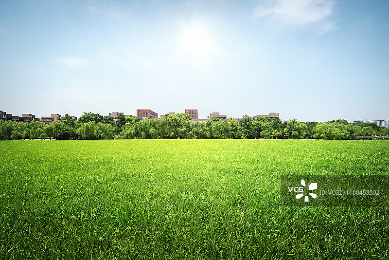 草坪 H图片素材