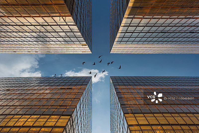 金碧辉煌的中港城图片素材