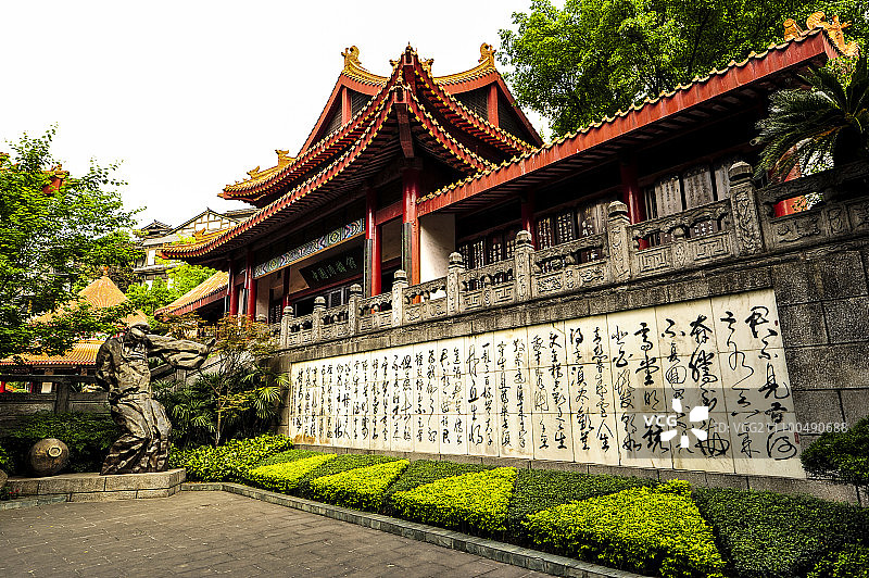 醉眼观书图片素材