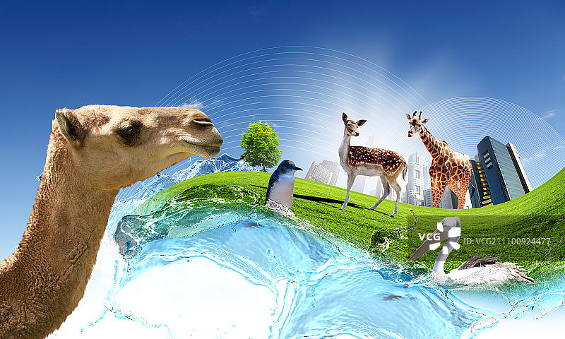 自然生态与动物保护概念拼贴图片素材