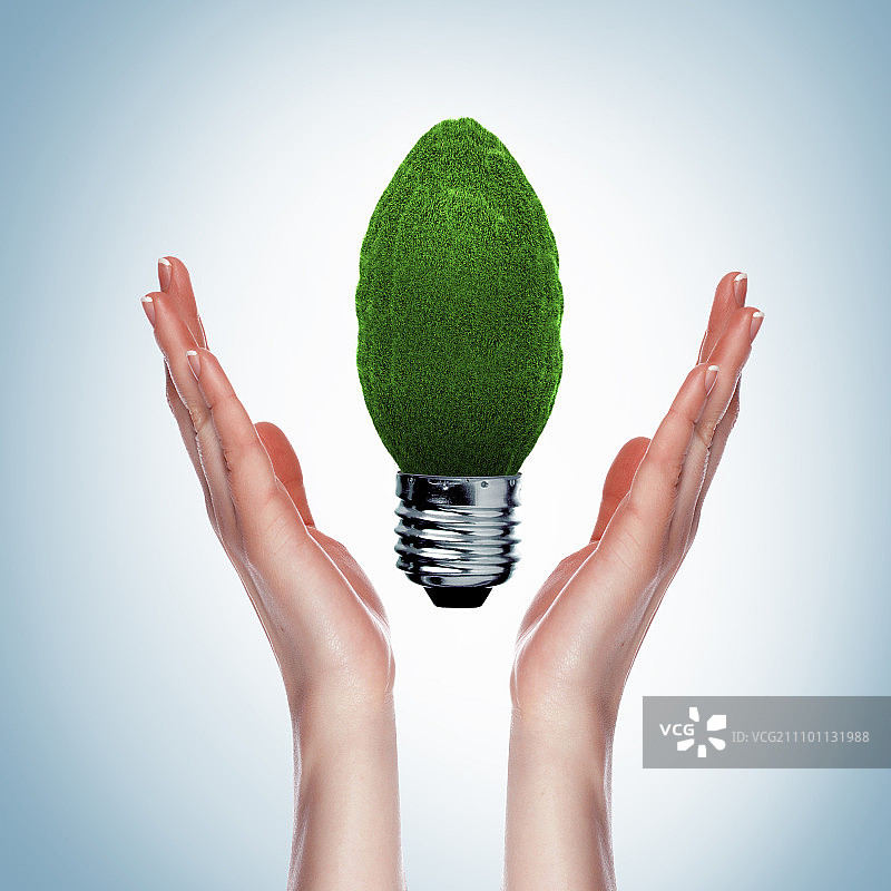 绿色灯泡象征可持续能源和自然保护图片素材