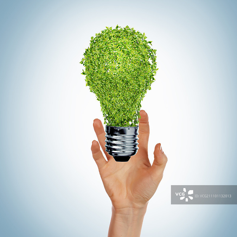 绿色灯泡象征可持续能源和自然保护图片素材
