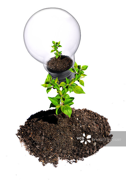 手臂和灯泡：环保的象征拼贴图片素材