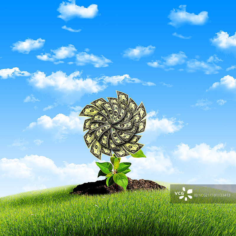 蓝天绿草地上长满美元的树概念图图片素材