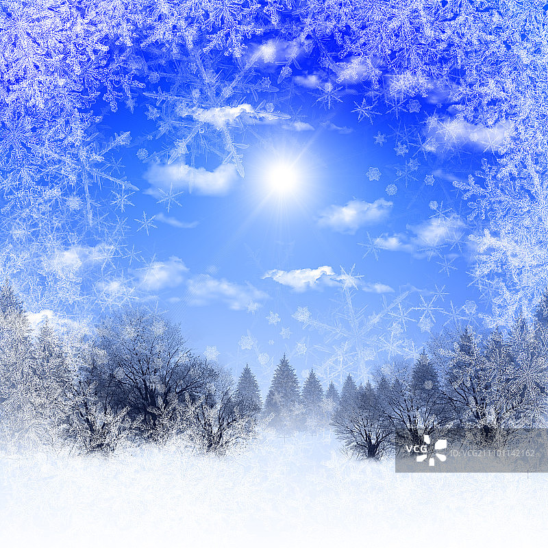 蓝天阳光抽象背景：冬季风景中的圣诞节，新年快乐，圣诞快乐！图片素材