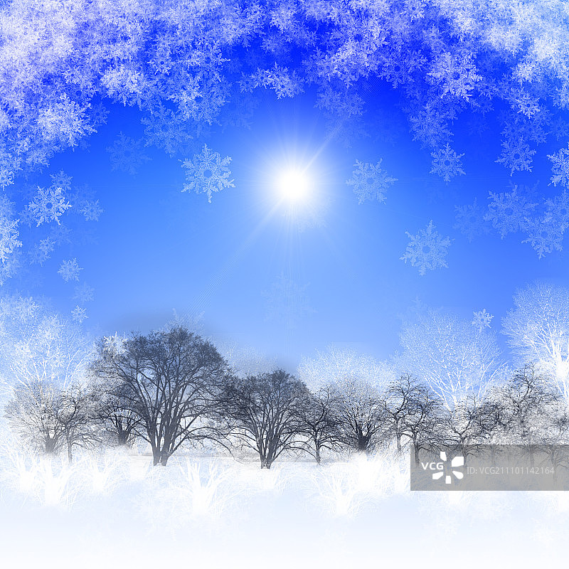 蓝天阳光抽象背景：冬季风景中的圣诞节，新年快乐，圣诞快乐！图片素材