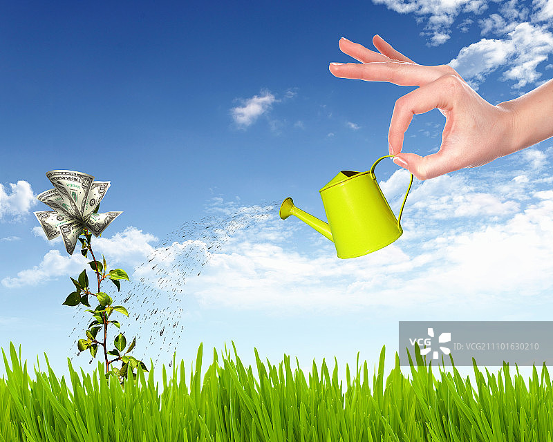人手拿着水壶浇灌摇钱树图片素材