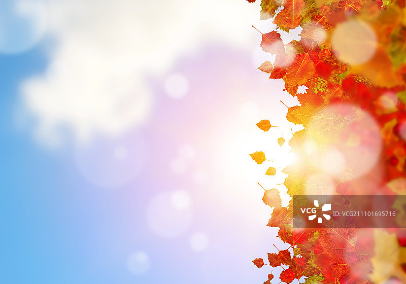 秋叶背景概念图，带文本区域图片素材
