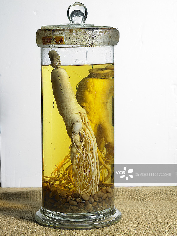 草和香图片素材