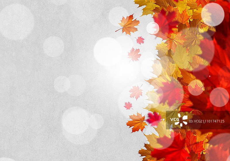秋叶背景概念图，带文本区域图片素材