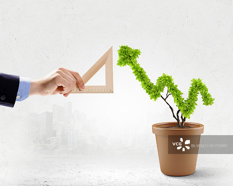 增长概念：人手测量盆栽植物特写图片素材