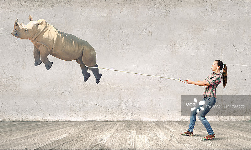 动物园动物：年轻女人牵着飞翔的犀牛图片素材