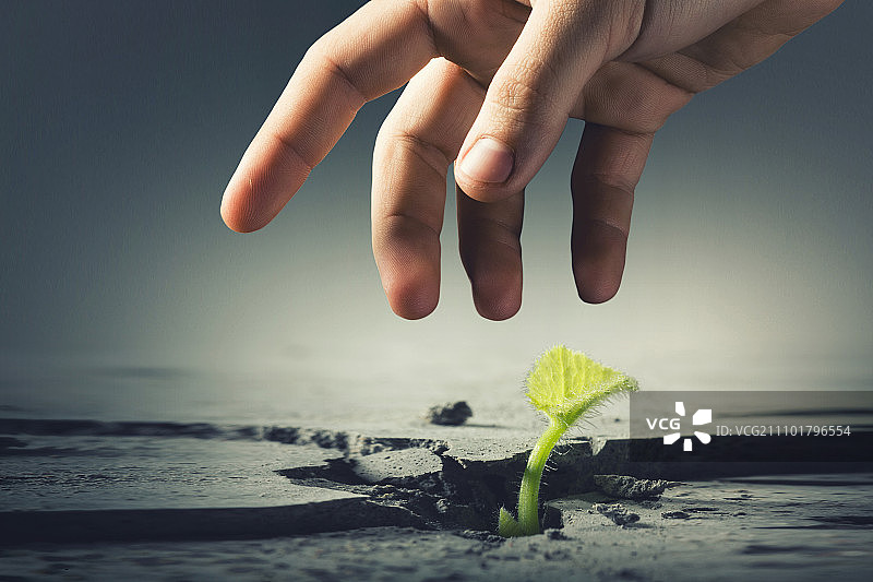 月球上有生命吗？月球表面裂缝中生长的绿色植物图片素材