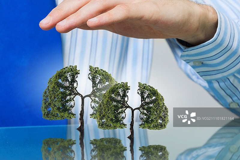 保护绿色生活：商人双手呵护绿树图片素材