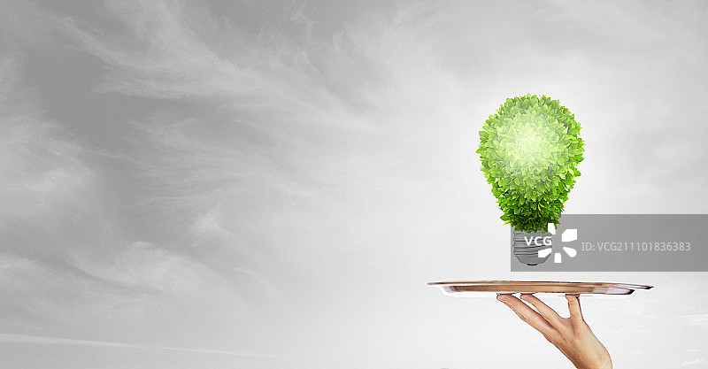 手持托盘中的绿色植物：环保概念图片素材