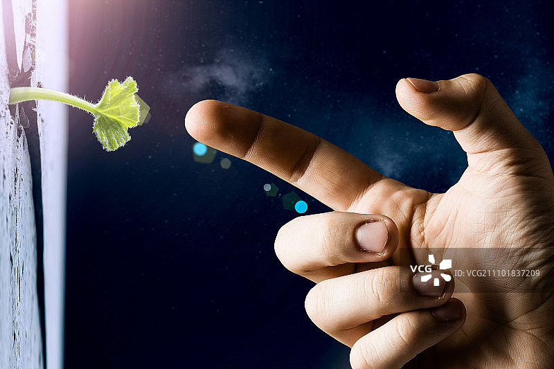 月球上有生命吗？月球表面裂缝中生长的绿色植物图片素材