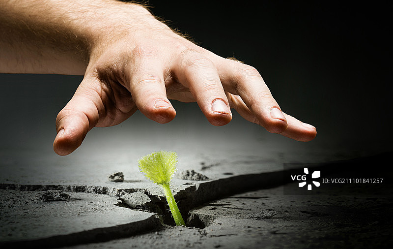 月球上有生命吗？月球表面裂缝中生长的绿色植物图片素材