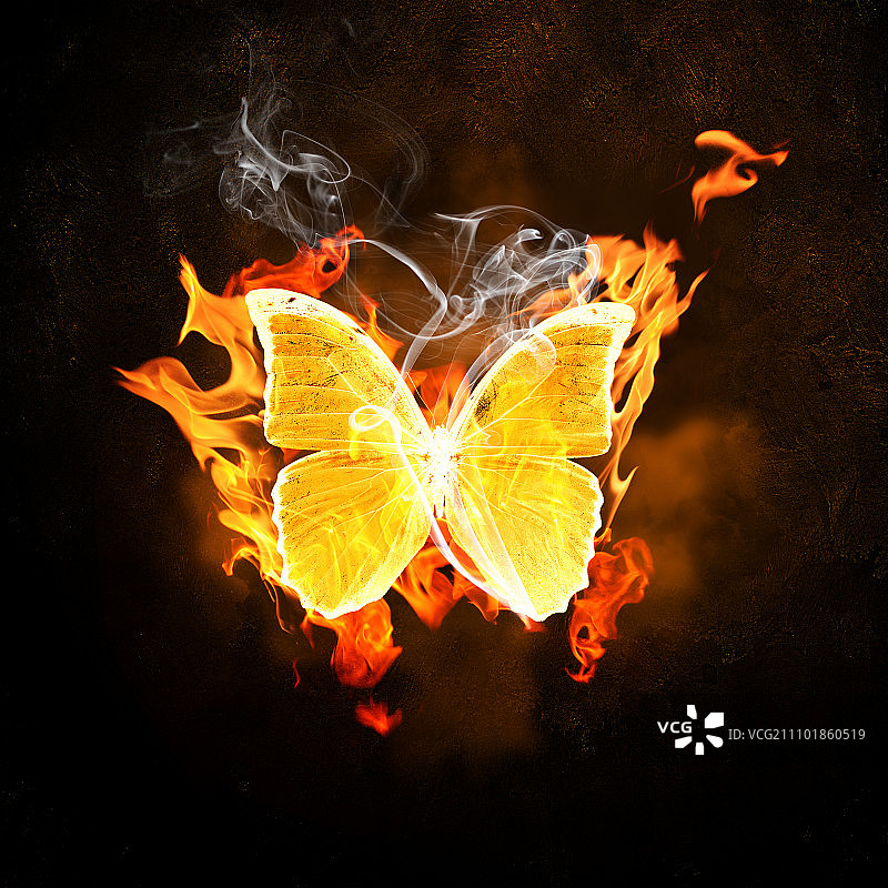 火焰中的蝴蝶，生态概念插画图片素材