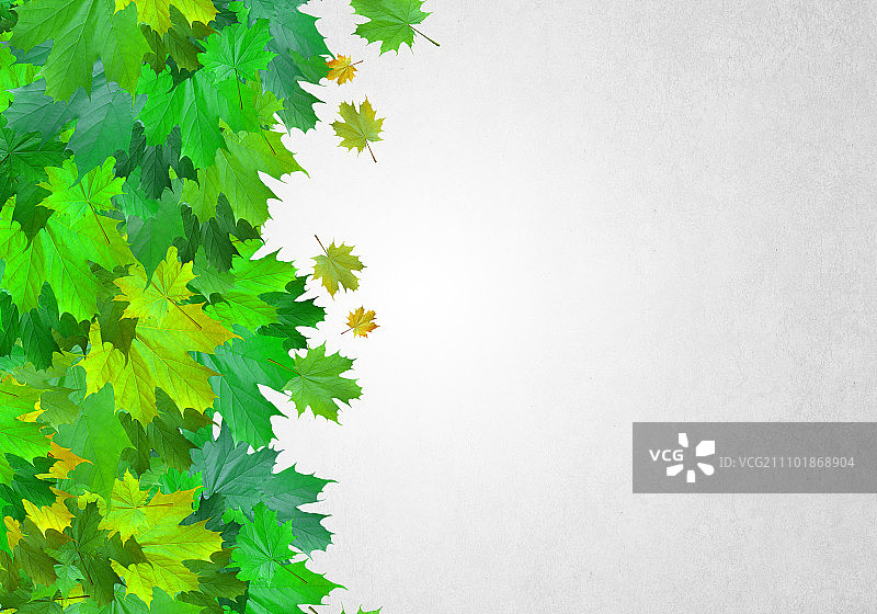 秋叶背景概念图，带文本区域图片素材