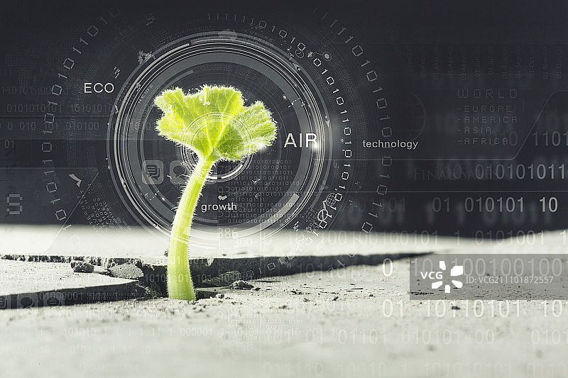 月球上有生命吗？月球表面裂缝中生长的绿色植物图片素材