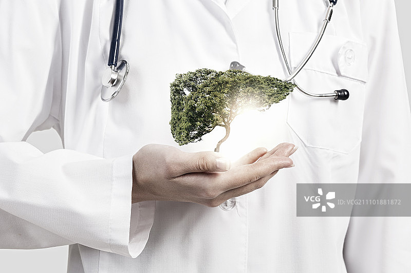 有益健康的绿色药品。女医生手中拿着绿树特写图片素材