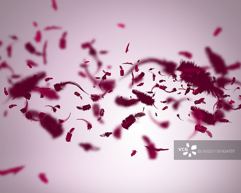 飞舞的羽毛，空气中羽毛飞舞的抽象背景图像图片素材