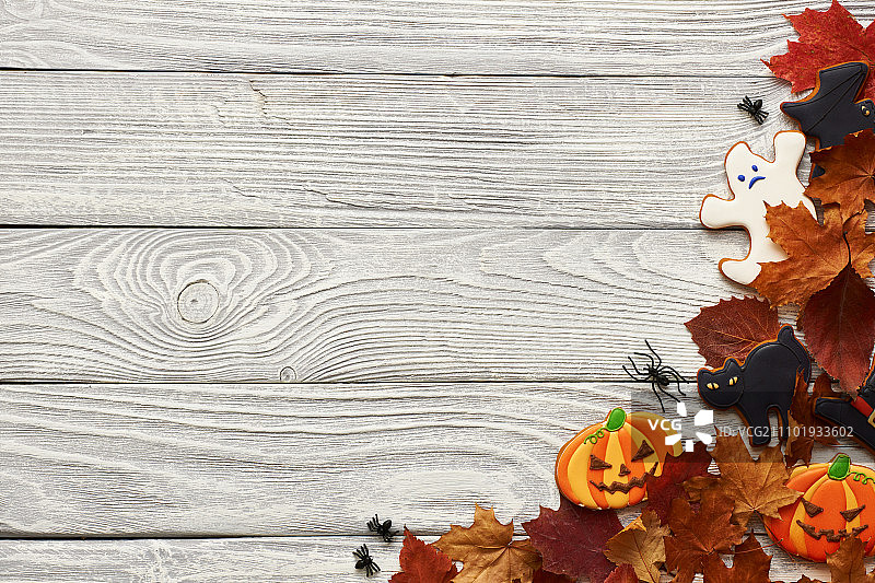 万圣节自制姜饼饼干图片素材