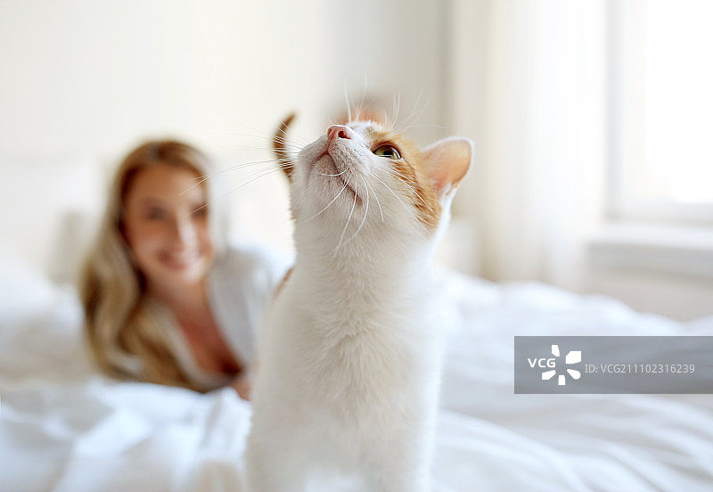 宠物、动物与人：快乐的年轻女子和家里的猫图片素材