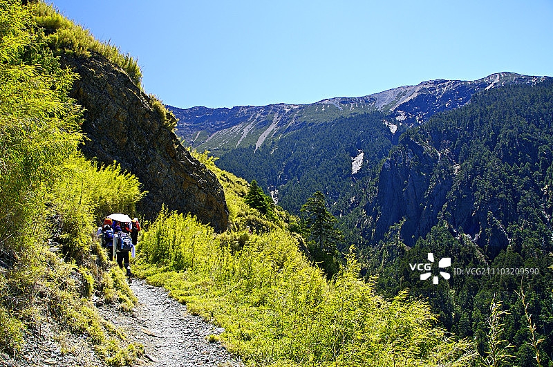 亚洲,中国,台湾,嘉义县,玉山,登山步道,图片素材