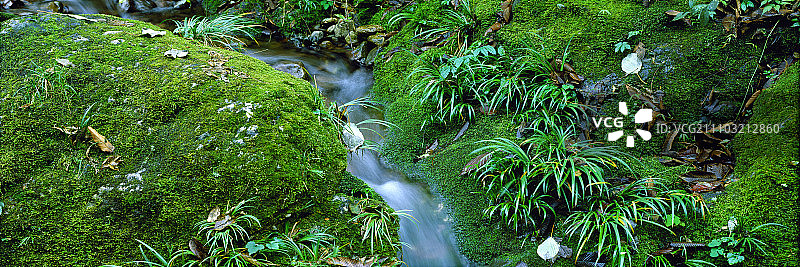 中国,四川省,五龙沟,青城山,图片素材