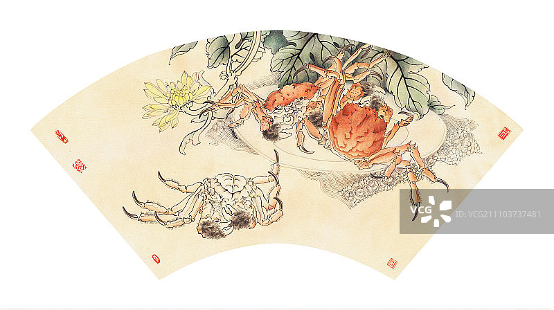 《菊黄蟹肥》图片素材