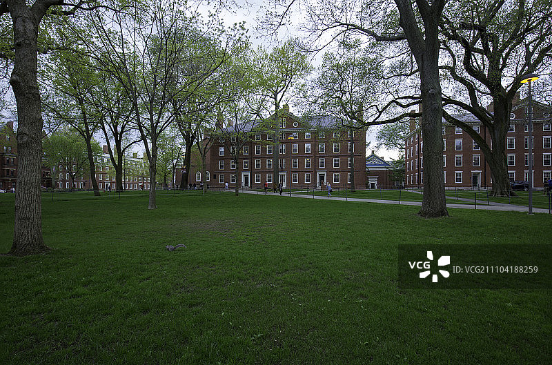 美国哈佛校园图片素材