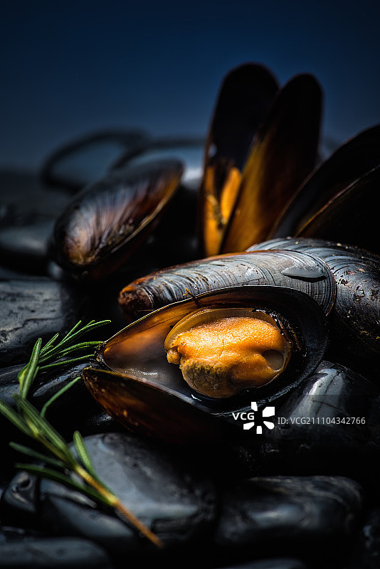 智利贻贝图片素材