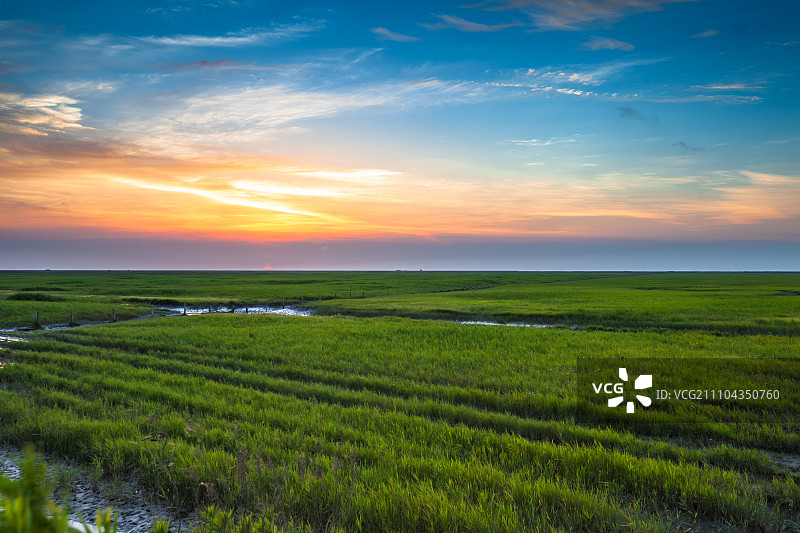 上海崇明岛东滩湿地图片素材