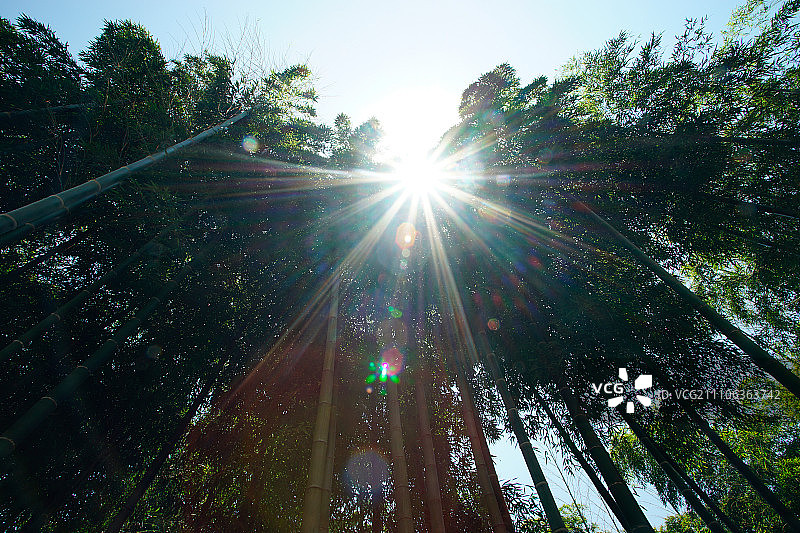 走进安吉图片素材